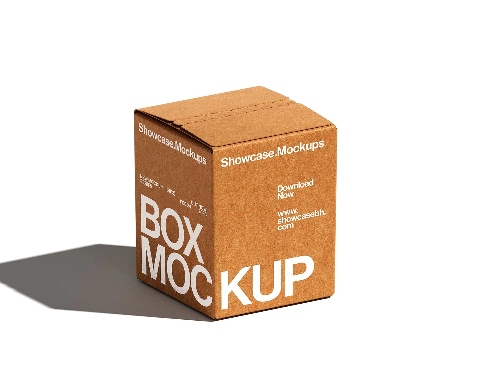 BP3_Box Packaging Mockup Series